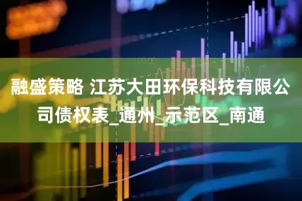 融盛策略 江苏大田环保科技有限公司债权表_通州_示范区_南通