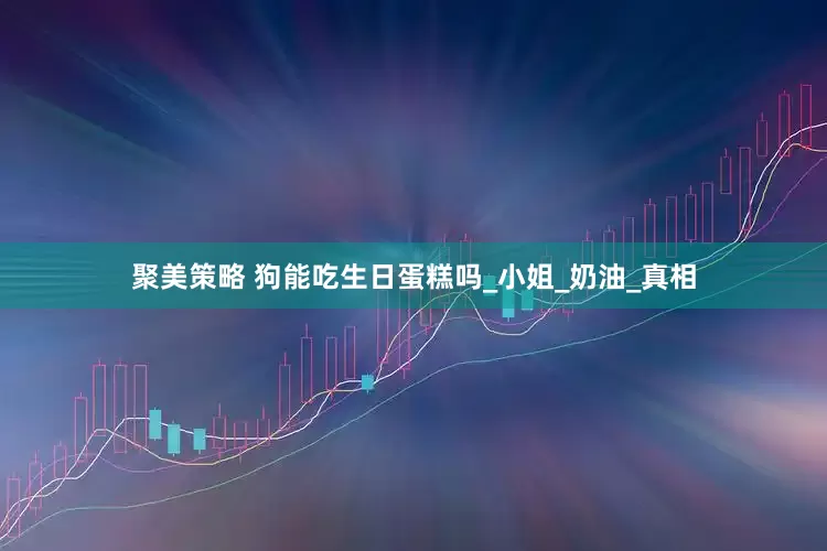 聚美策略 狗能吃生日蛋糕吗_小姐_奶油_真相