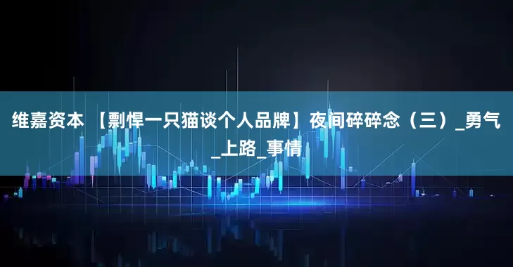 维嘉资本 【剽悍一只猫谈个人品牌】夜间碎碎念（三）_勇气_上路_事情