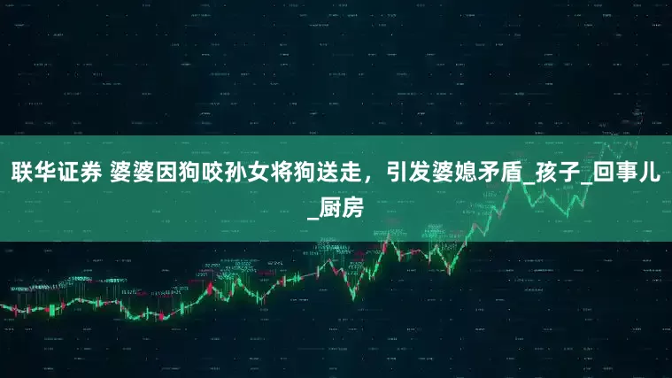 联华证券 婆婆因狗咬孙女将狗送走，引发婆媳矛盾_孩子_回事儿_厨房